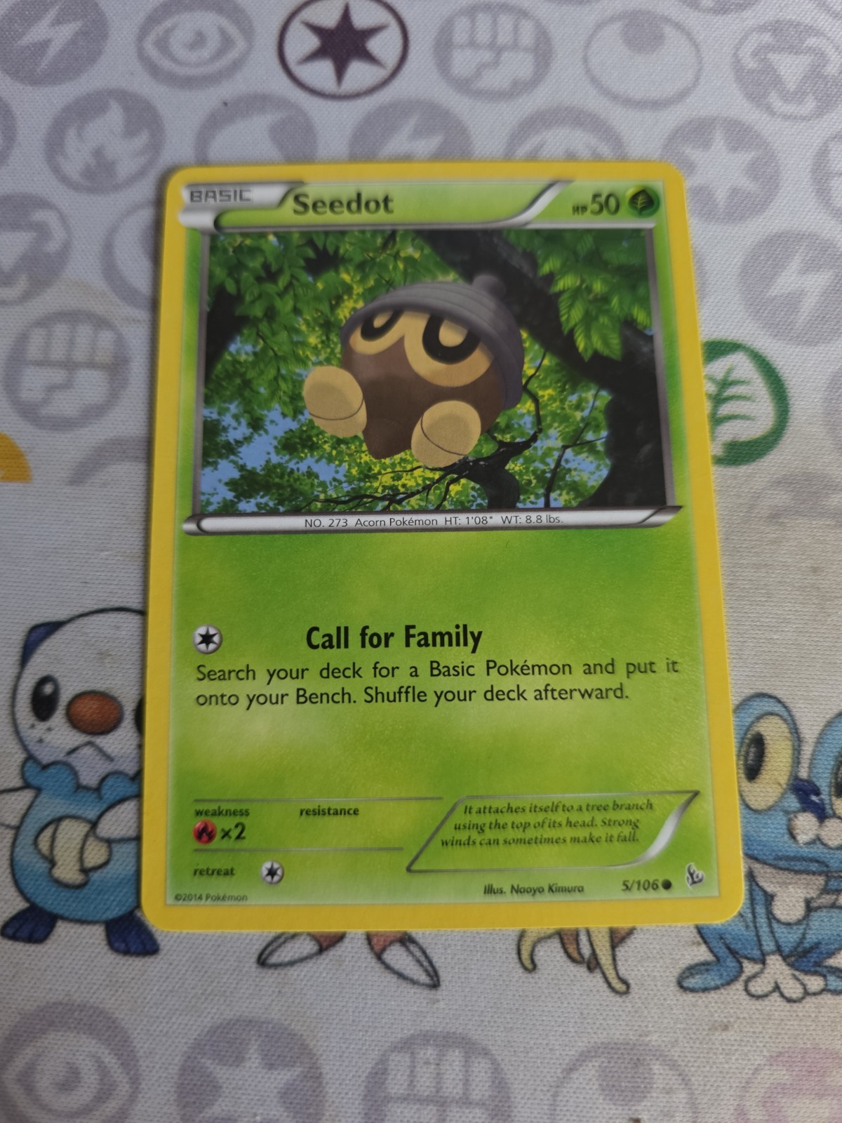 2014 Pokemon Card - Seedot 5/106