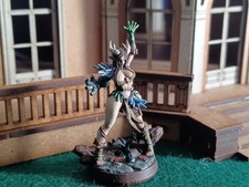 Fully Painted DnD Character Female Human/Elf Druid by Codex Universalis