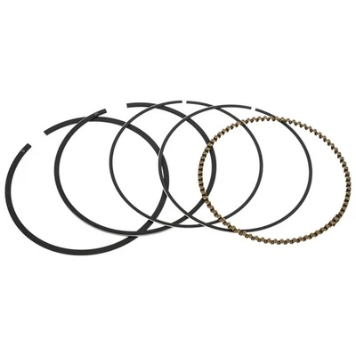MTD 951-05156 Piston Ring Set Troy-Bilt