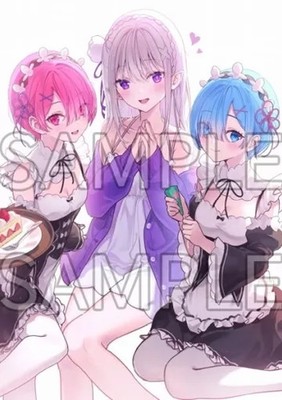 Re:ZERO Starting Life in Another World Lang B2 Double Suede Tapestry Kadokawa
