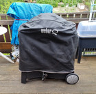 Weber Gasgrill Q 2200 mit Eigentums Gasflasche auf dem Bild