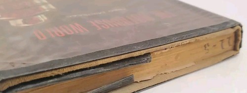 The Hothouse World by Fred MacIsaac (First Edition) Gray Morrow Cover 1965 - Picture 3 of 12