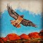 hawkflightdeals