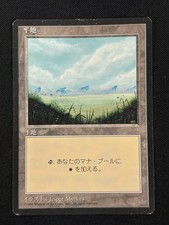 Plains (A) Fourth Edition Foreign Black Border FBB Magic The Gathering MTG Card