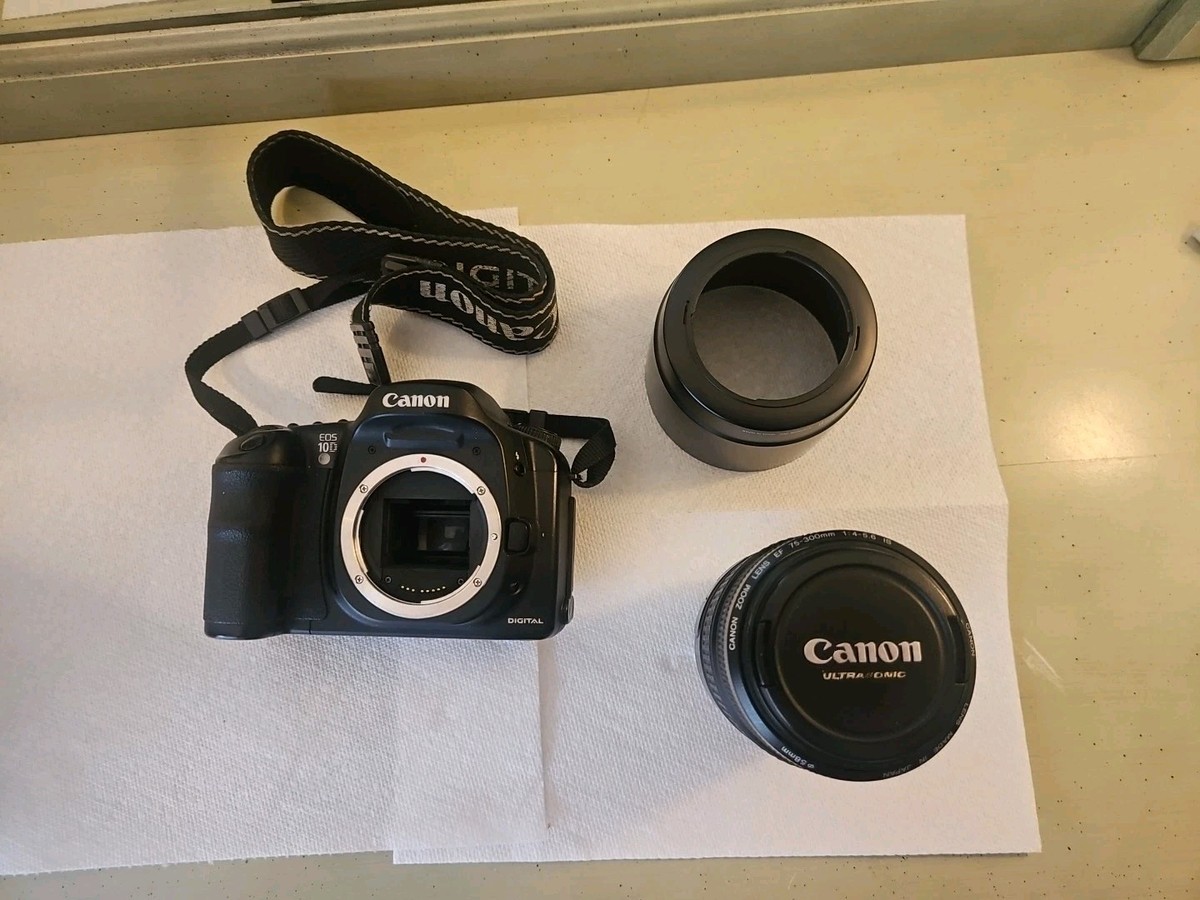 CANON EOS 10D 本体 EF75-300mm F4.5-5.6レンズ CANON EF75-300mm f4-5.6 iii レビュー:コスパ抜群の望遠ズーム