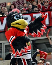 Tommy Hawk Chicago Blackhawks Unsigned Crowd Celebration Photo