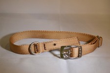 Dog Collar - One Size Fits All - 3/4" nylon - Adjustable - Pack of 4 F594-08