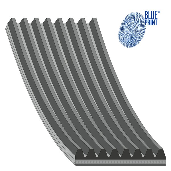 Blue Print Keilrippenriemen - Case Ih, New Holland - Case Ih, New Holland --image