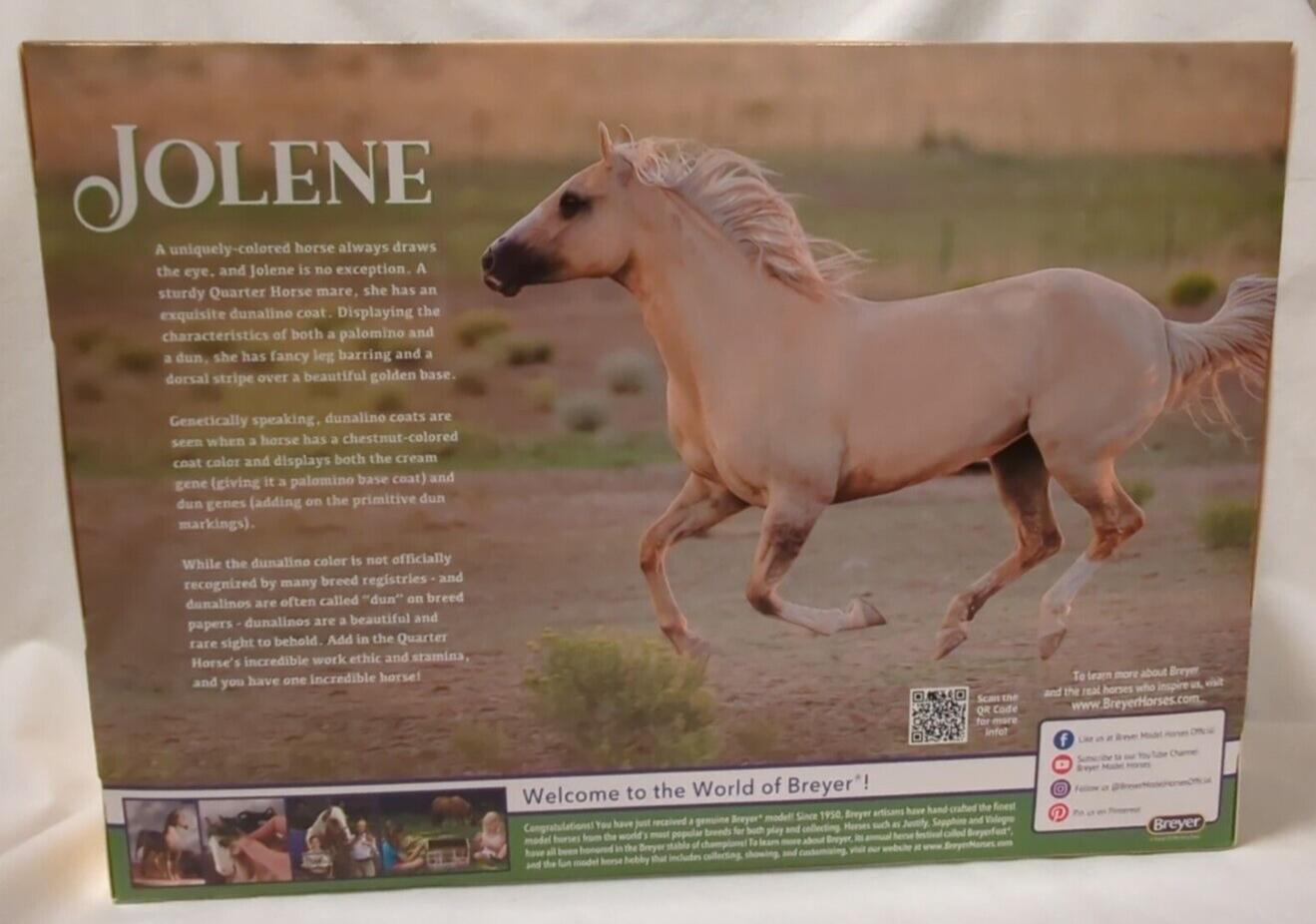 Breyer TSC Jolene Lady Phase eBay