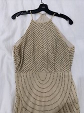 Maya Deluxe Beaded Gown Size 4 Sexy And Gorgeous