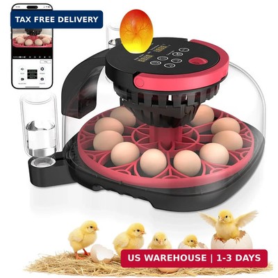 Full Automatic 12 Egg Incubator with APP Control & Video Record, Automatic Egg T