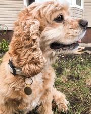 1" Brass Stamping Blanks- 0.06 Inch Thick Circle Brass Discs Tags for Jewelry...