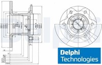 2X Bremsscheibe Delphi BG429 2 Bremsscheiben Vorderachse Vorne FüR Iveco