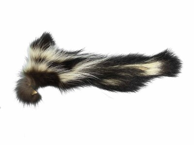 Real Tanned Super Premium XL Skunk Tail (18-SK-G4265) 9UL2