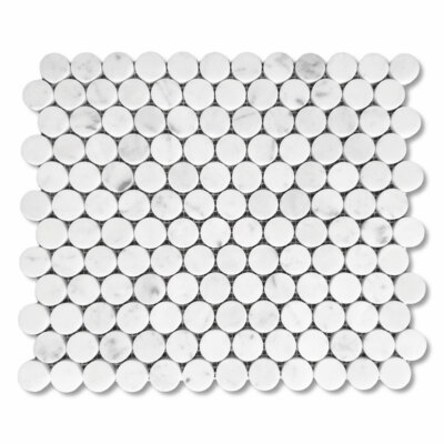 C93LXP 1'' Penny Round Carrara White Venato Marble Mosaic Tile Polished