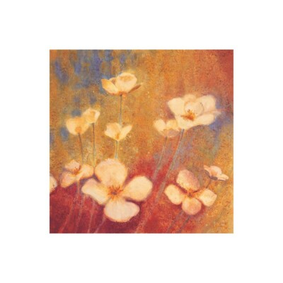 Leinwanddruck auf Papier Poster oder Gemälde Michaels Anne Field of Color II