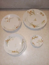 Vintage Haviland & Co. The St. Lazare 9pc Dish Set