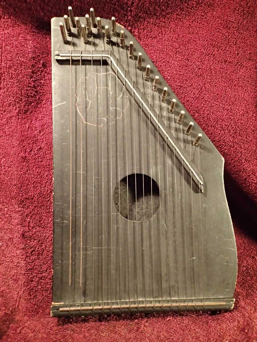 A small 2024 stringed musical instrument