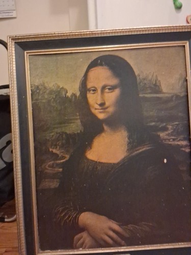 Leonardo da Vinci Mona Lisa Framed Art Print Portraiture Woman