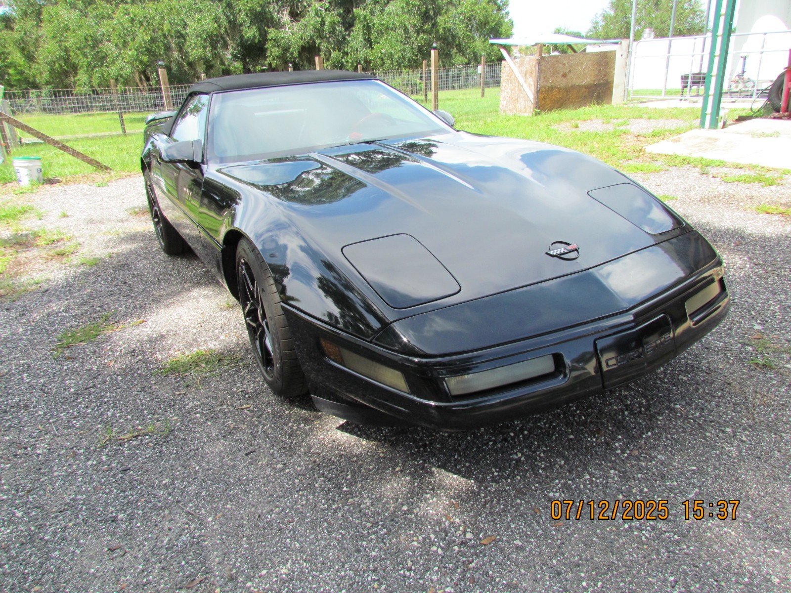 1995 Chevrolet Corvette for sale in Ocala Florida
