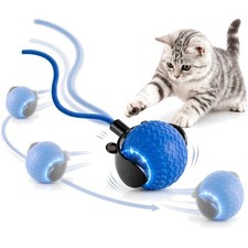 Katzenspielzeug Elektrisch Ball USB-C Interaktiv Katzenball Spielzeug