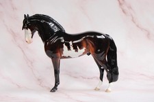 Peter Stone Andalusian Horse “Simpson” OOAK Etched Pinto LSQ LSP PSP