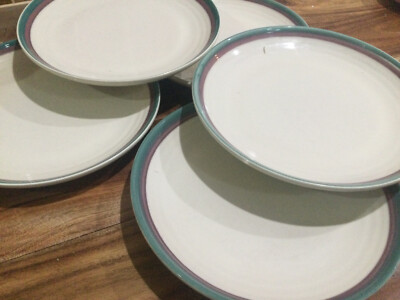 Vintage Pfaltzgraff Juniper 10