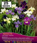 JAPANESE  IRIS- FLOWER SEEDS -Mix  Colours -25 x SEEDS