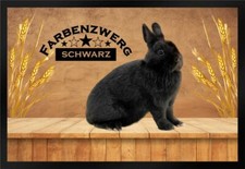 Fu&szlig;matte Schmutzfangmatte Kaninchen Farbenzwerg schwarz F939