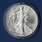 2017 Walking Liberty - .999 Silver Dollar - Uncirculated
