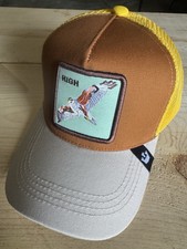 New Trucker eagle
