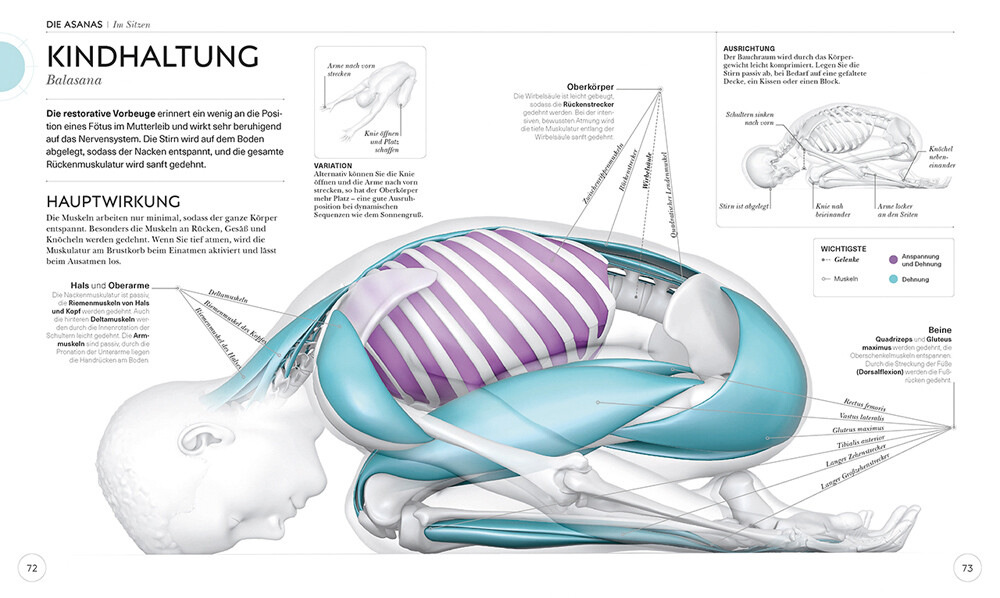Thumbnail - Yoga Verstehen. Die Anatomie Der Yoga-haltungen. Ann Swanson