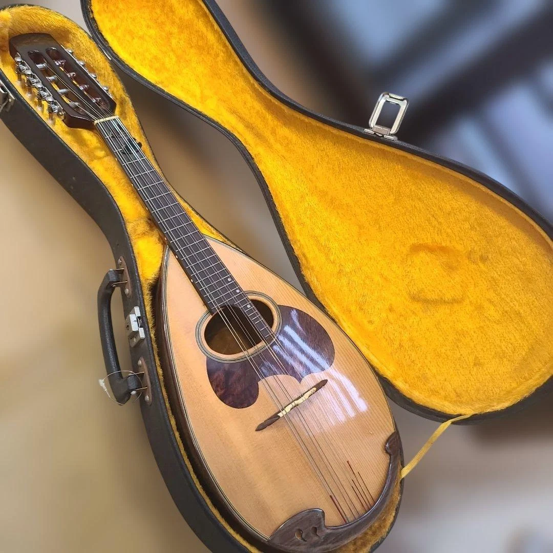 Suzuki Mandolins for sale - eBay