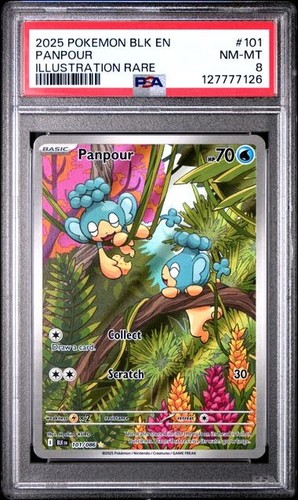 Panpour graded PSA 8 for sale on eBay