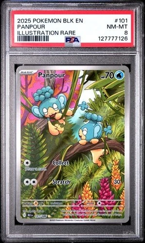 Panpour 101/086 Sv: Black Bolt Holo - PSA 8