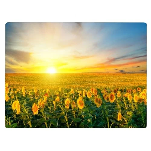 Summer Sunflower Summertime Beach Season Pattern Kitchen Glass Cutting Board ...