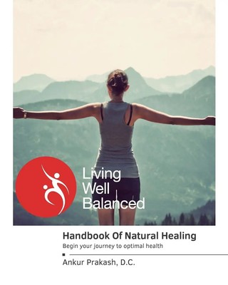 The Handbook Of Natural Healing Begin Your Journey to Optimal Health Dc Buch