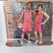  WNBA Phoenix Mercury 23" x 23" Goldie & Grubin Poster by Barry Gossage