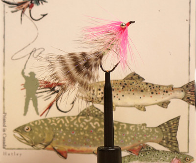 Polar Magnus Chartreuse – Mosca Marina Per Spigole E Trote, Gamakatsu F314 #4, Dieter Wollenschläger