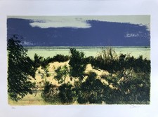 CAZZANIGA GIANCARLO Litografia su carta  50x70 cm Tirata a 125 esemplari