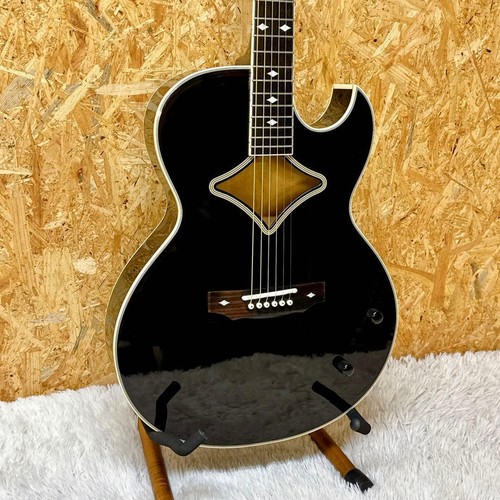 B.C.Rich Eco Acoustic Guitar Metal Rock Rich No.YG1560