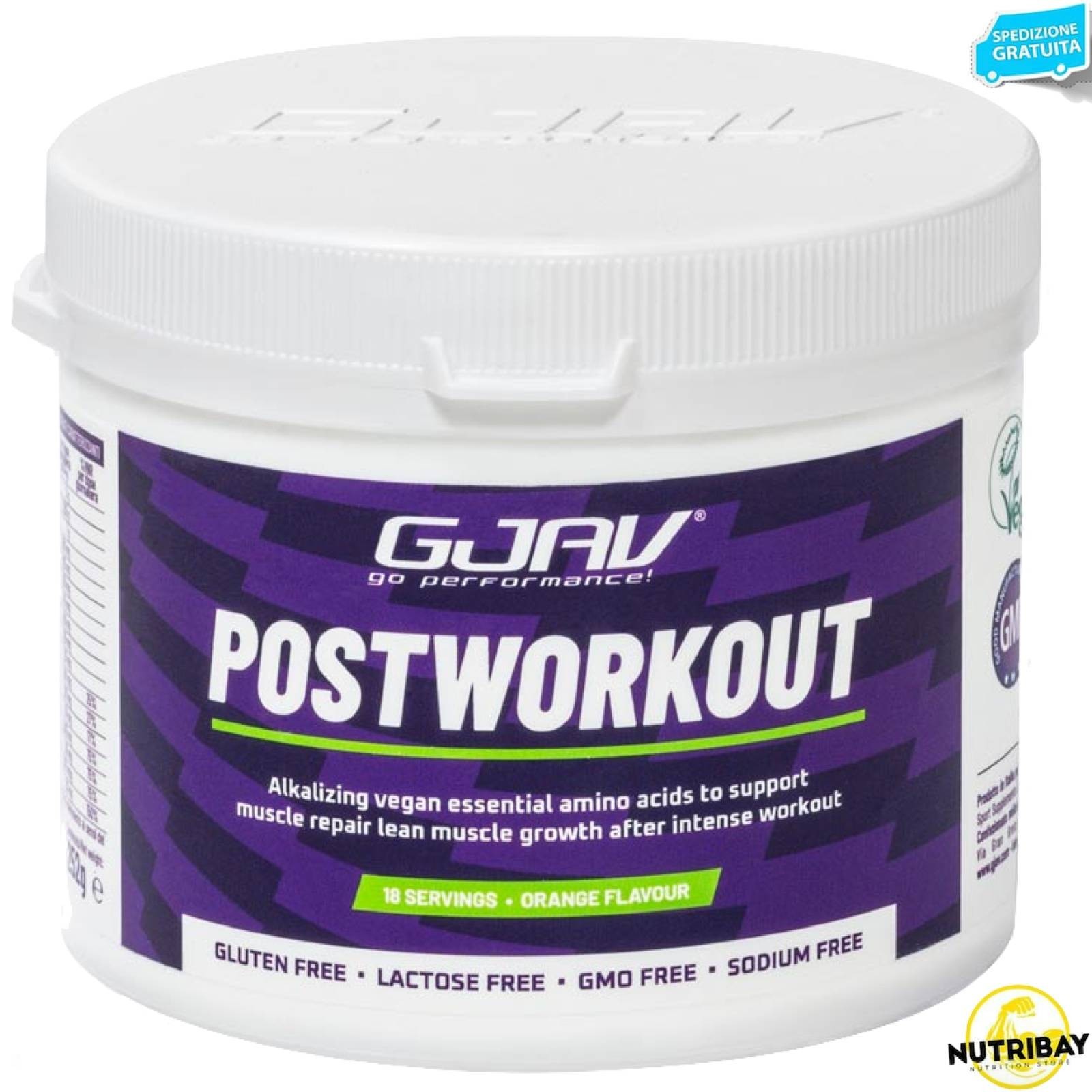 Gjav Postworkout 261 gr - Alcalinizzante Originale