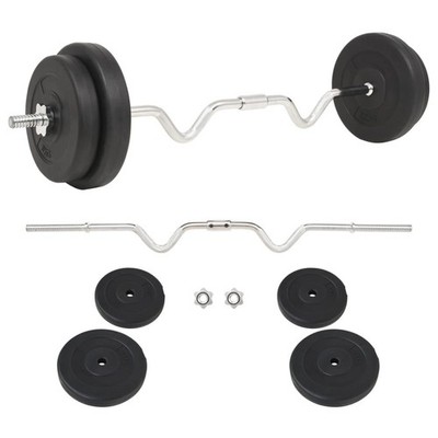 66.1 lb Barbell Set 11.9 lb Bar Cement Plates Star Locks Strength Training