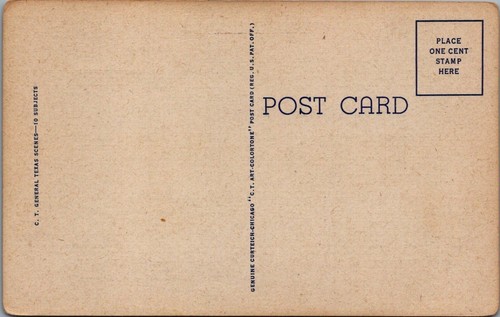 Down in Texas Postcard 6A-H4 Unposted - Imagen 2 de 2