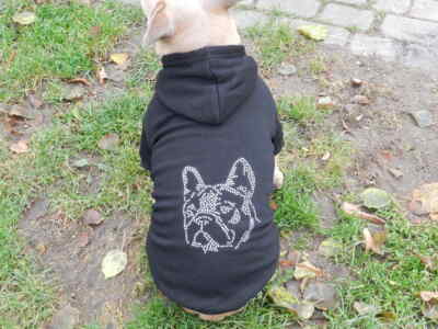 Hundepullover französische Bulldogge Bully Nieten Hundepullover Pulli Franzose s