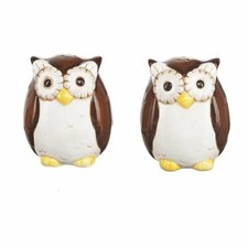 Brown Owls Salt and Pepper Shaker Set Large Ceramic Birds Tableware Decor