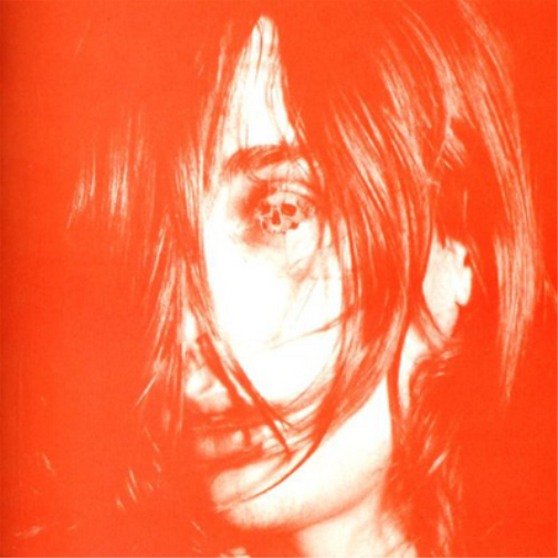 Deerhunter Microcastle/Weird Era Continued (Vinyl LP) 12" Album