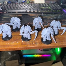 Warhammer 40K Death Guard Deathshroud Bodyguard x6 Terminators Saturnate alt art