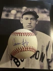 Aaron Judge Signed MLB OML Rawlings Yankees Baseball Auto