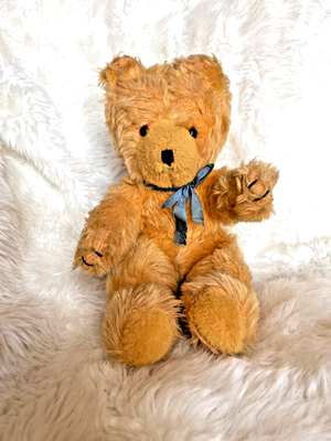 Vintage Wendy Boston Teddy Bear with Label Made in England 1965